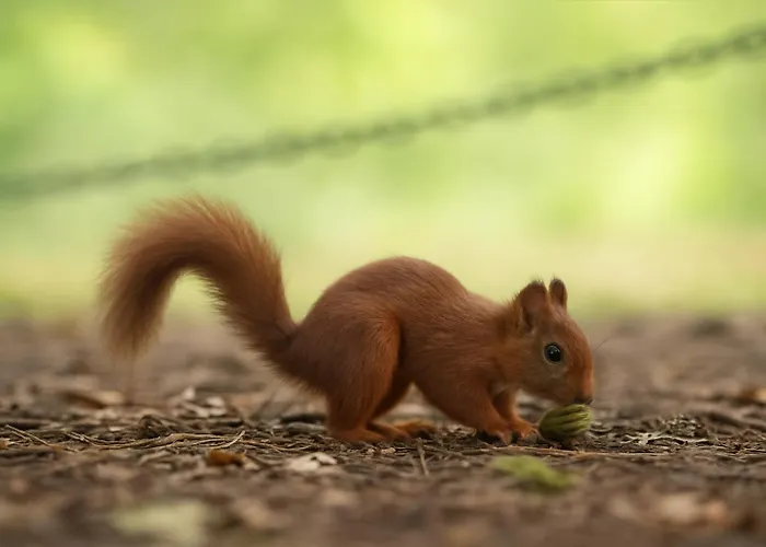 Appartement Château Des Princes  Calme Et Sérénité Au Cœur De *